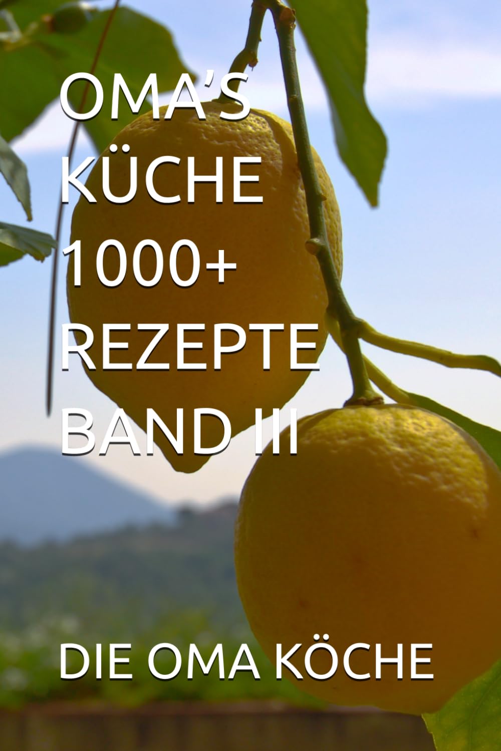 OMA’S KÜCHE 1000+ REZEPTE BAND III: 3 (OMA’S KÜCHE – ÜBER 1000 REZEPTE)