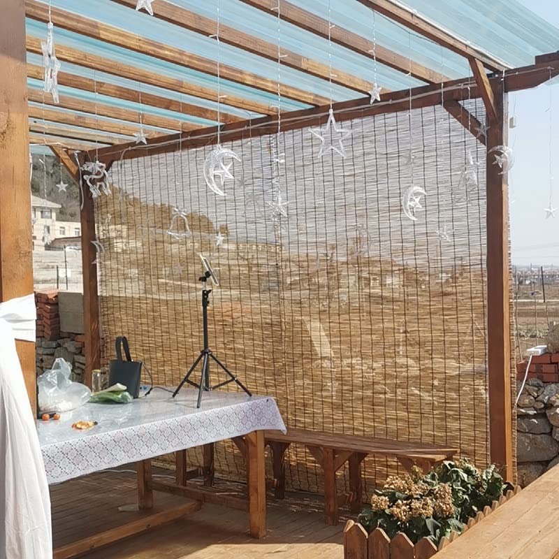 View 2