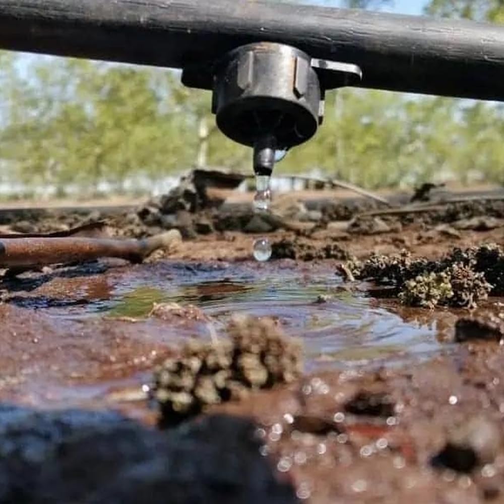 Suinga Set di 1000 Gocciolatore per irrigazione autocompensante da 4 litri/ora, smontabile. Gocciolatore pizzicato adatto per microirrigazione