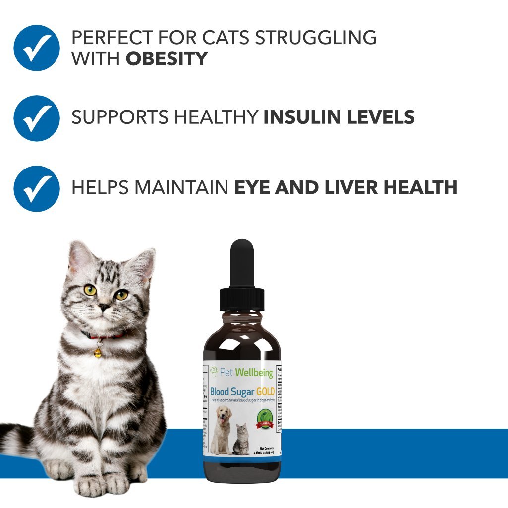 blood sugar gold for cats