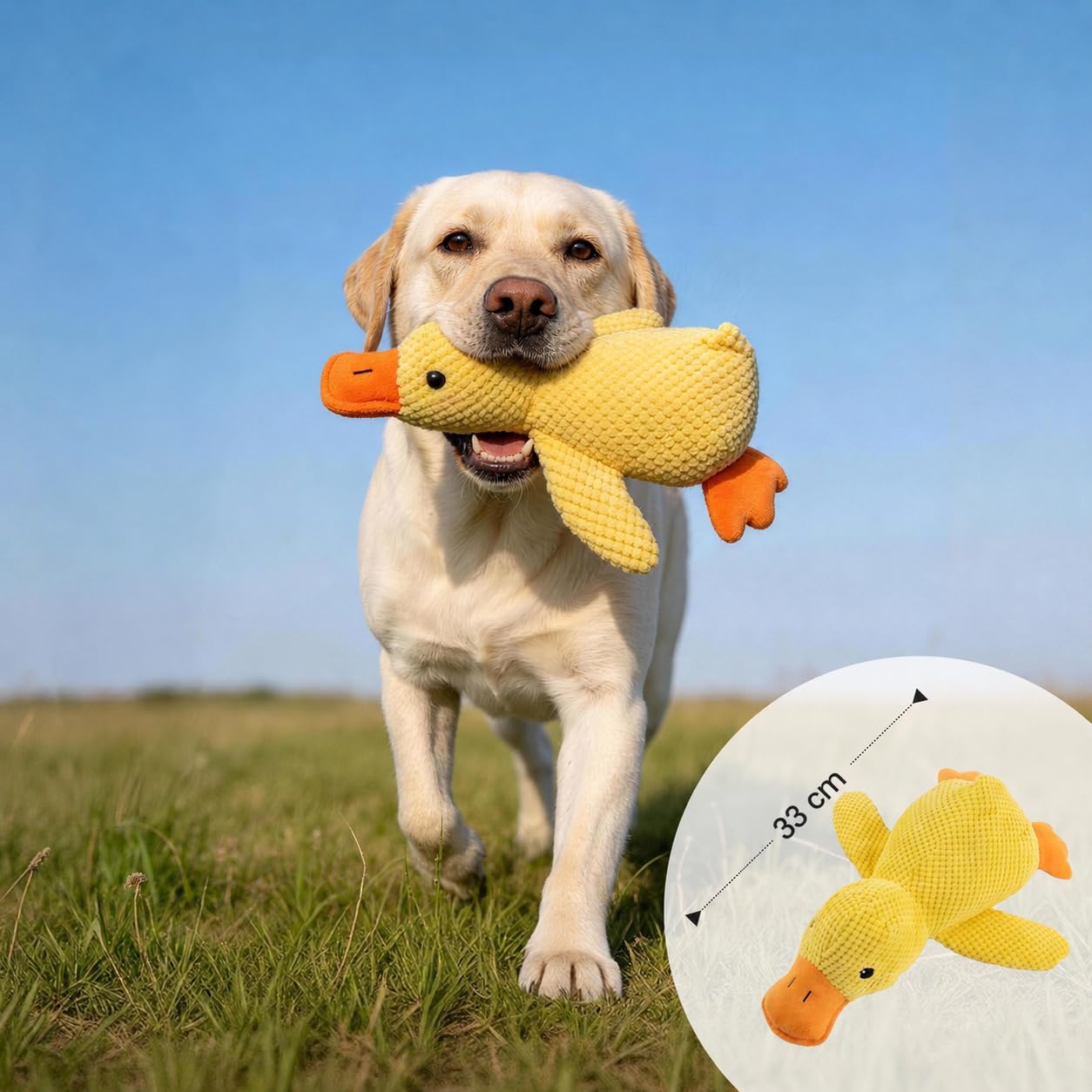 Potaroma Hundespielzeug für Hunde 2er Set, Ente & Blauer Elefant Quietschspielzeug mit Quietscher und Knisterpapier, weiches Plüschspielzeug und Hundekuscheltier für Welpen, kleine und mittlere Hunde