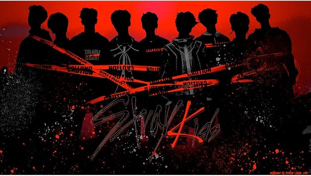 512 STORE Stray Kids Kpop Duvar Poster Pembe, sdsdgdgh