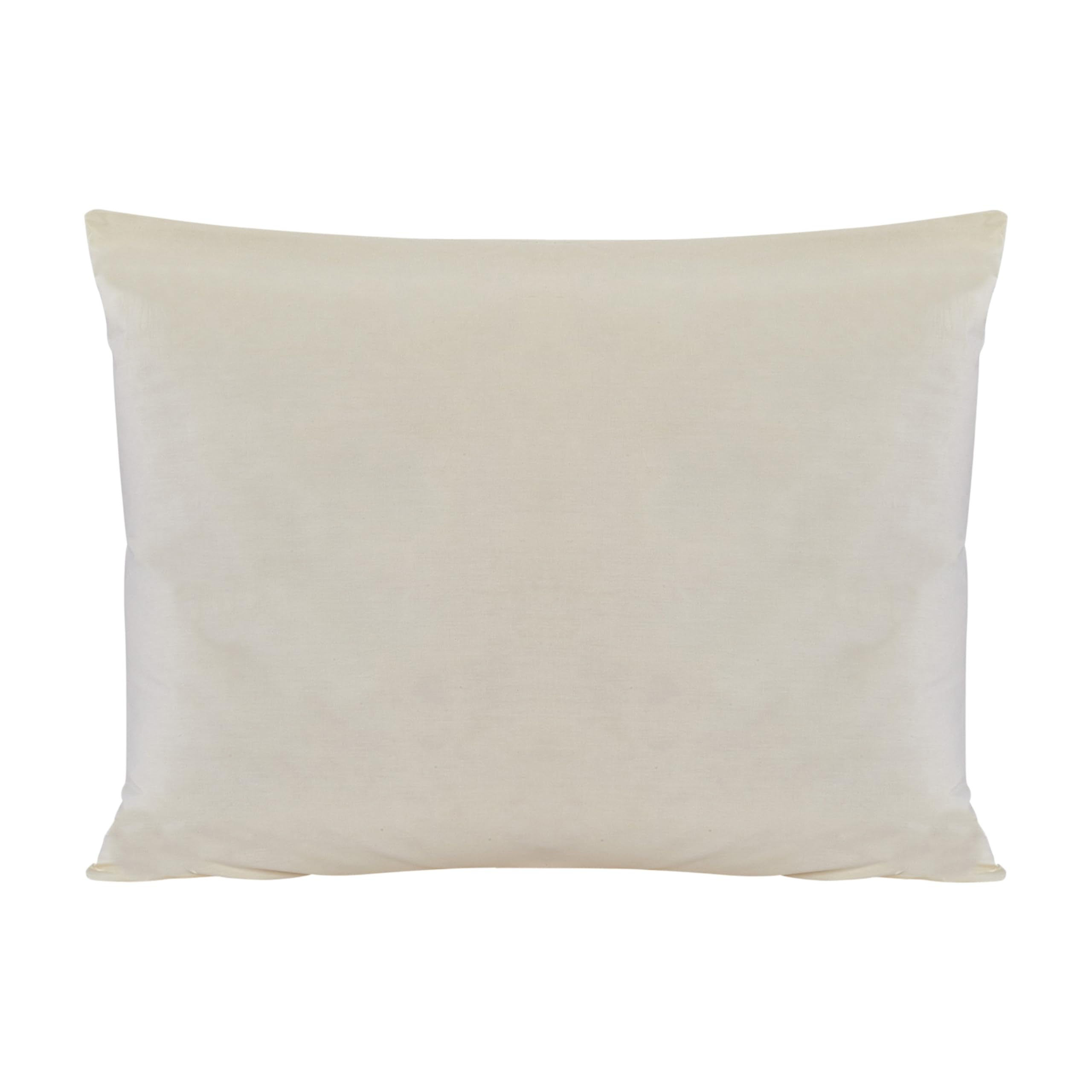 Sleep & Beyond 20 by 30-Inch Washable Wool Pillow, Queen, Natural