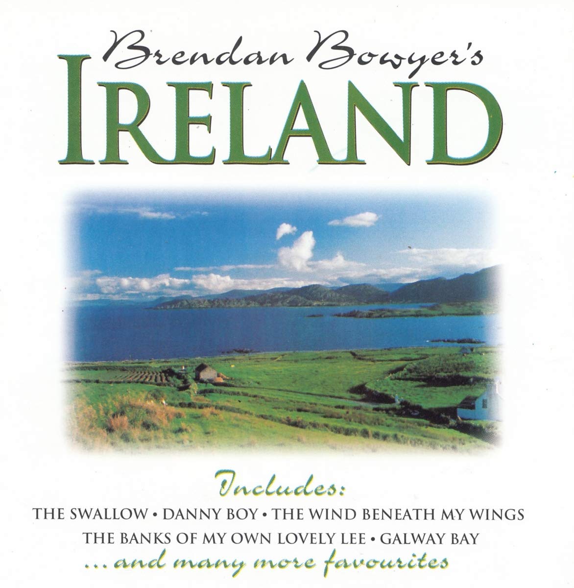Brendan Bowyer's Ireland