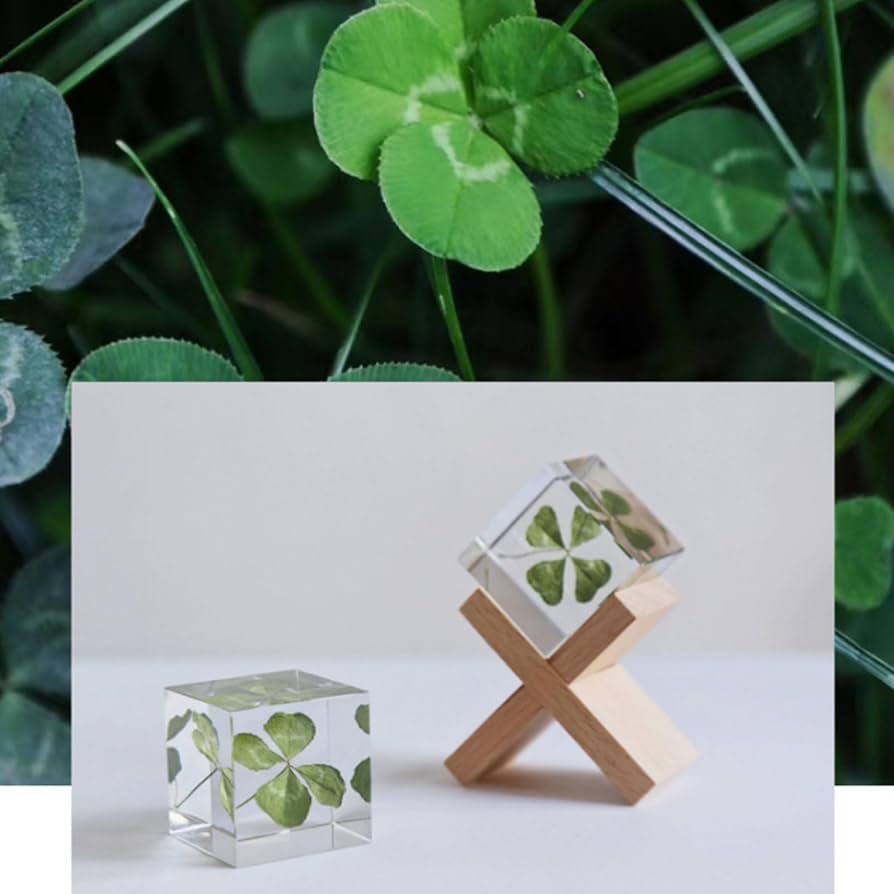 すずらん ミモザ 樹脂標本 筆記体 errer 気泡 植物標本 セット すずらん ミモザ 樹脂標本 筆記体 errer 気泡 植物標本 セット