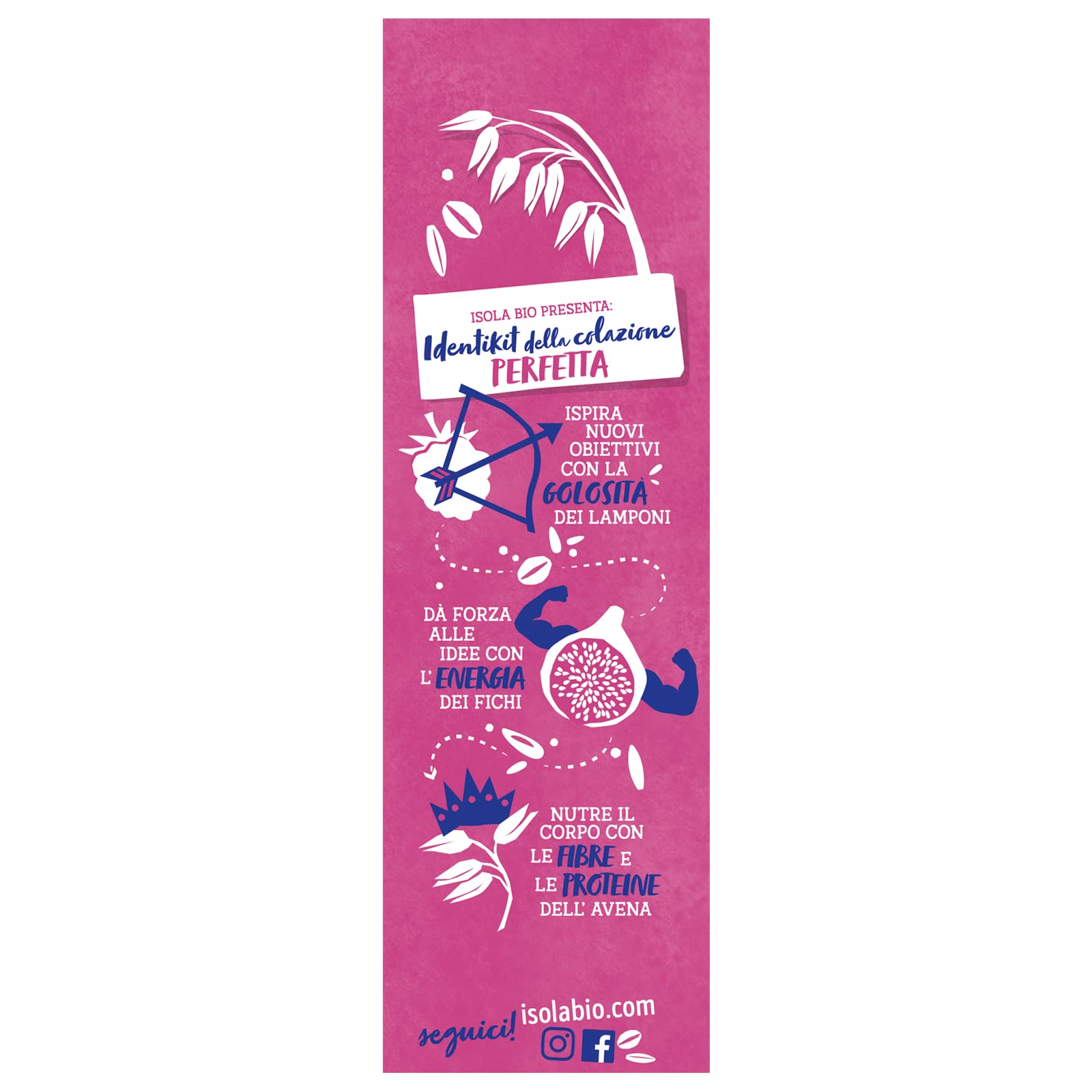 PORRIDGE DE AVENA FICHI LAMPONI Y UVETTA BIO 375 GR