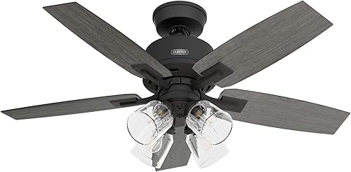 Hunter Fan Company 52425 Gatlinburg - Ventilador de techo, color negro mate