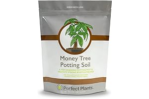 Perfect Plants Money Tree Potting Soil: The Key to Thriving Indoor Trees