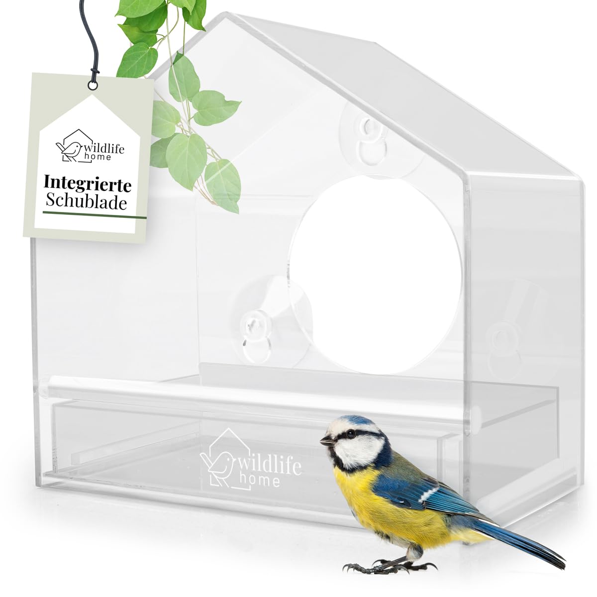  WILDLIFE HOME Transparent Fensterfutterhaus für Wildvögel Clever
| WILDLIFE HOME Vogelhaus mit Saugnäpfen und Futterspe
