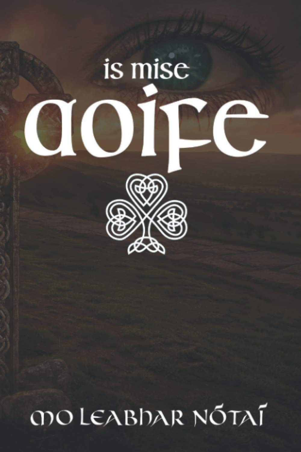 Is Mise Aoife - Mo Leabhar Nótaí: Girls Notebook - I am Aoife - My Notebook in Irish Gaeilge