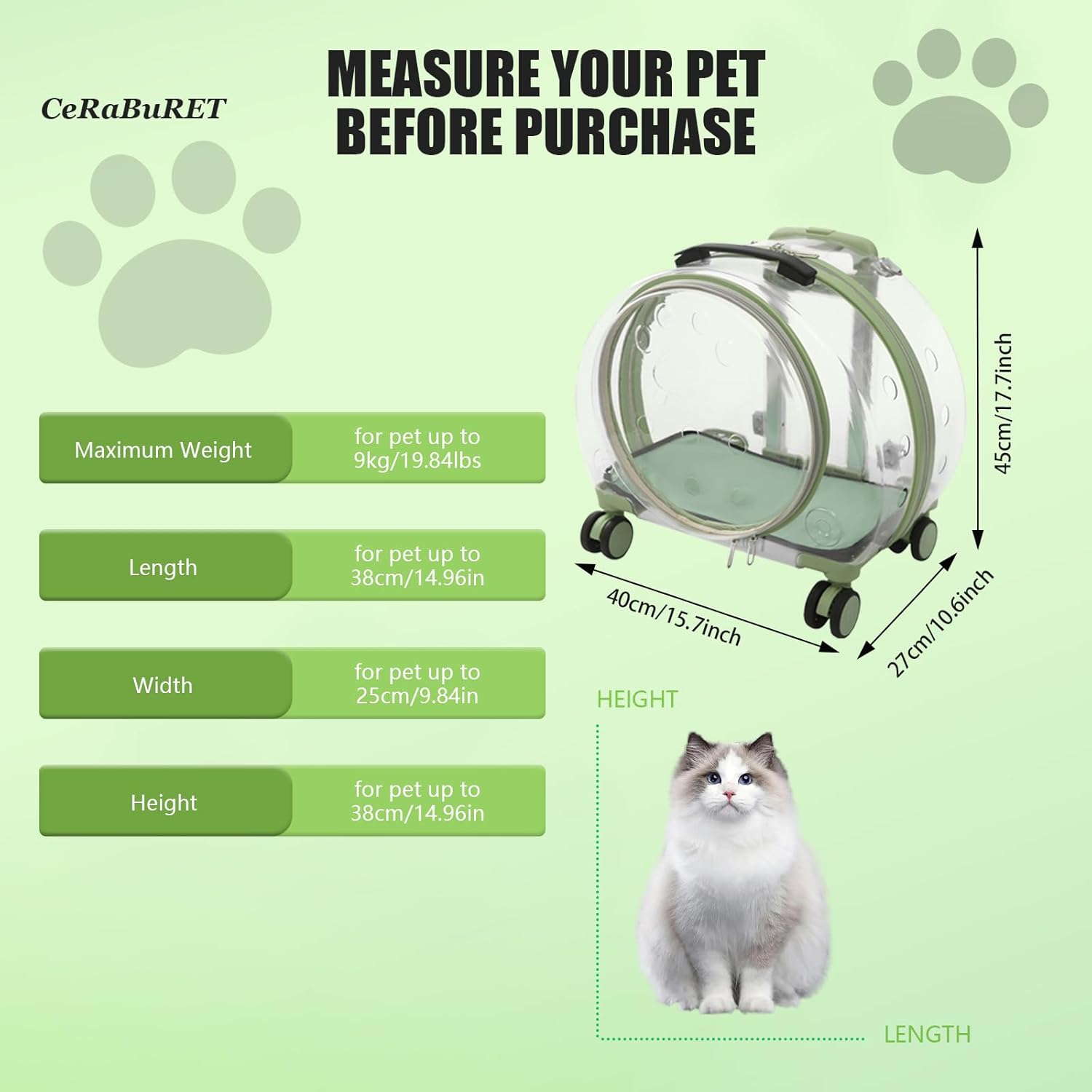 Travel in Style: The Ultimate Transparent Hard Cat Carrier Review