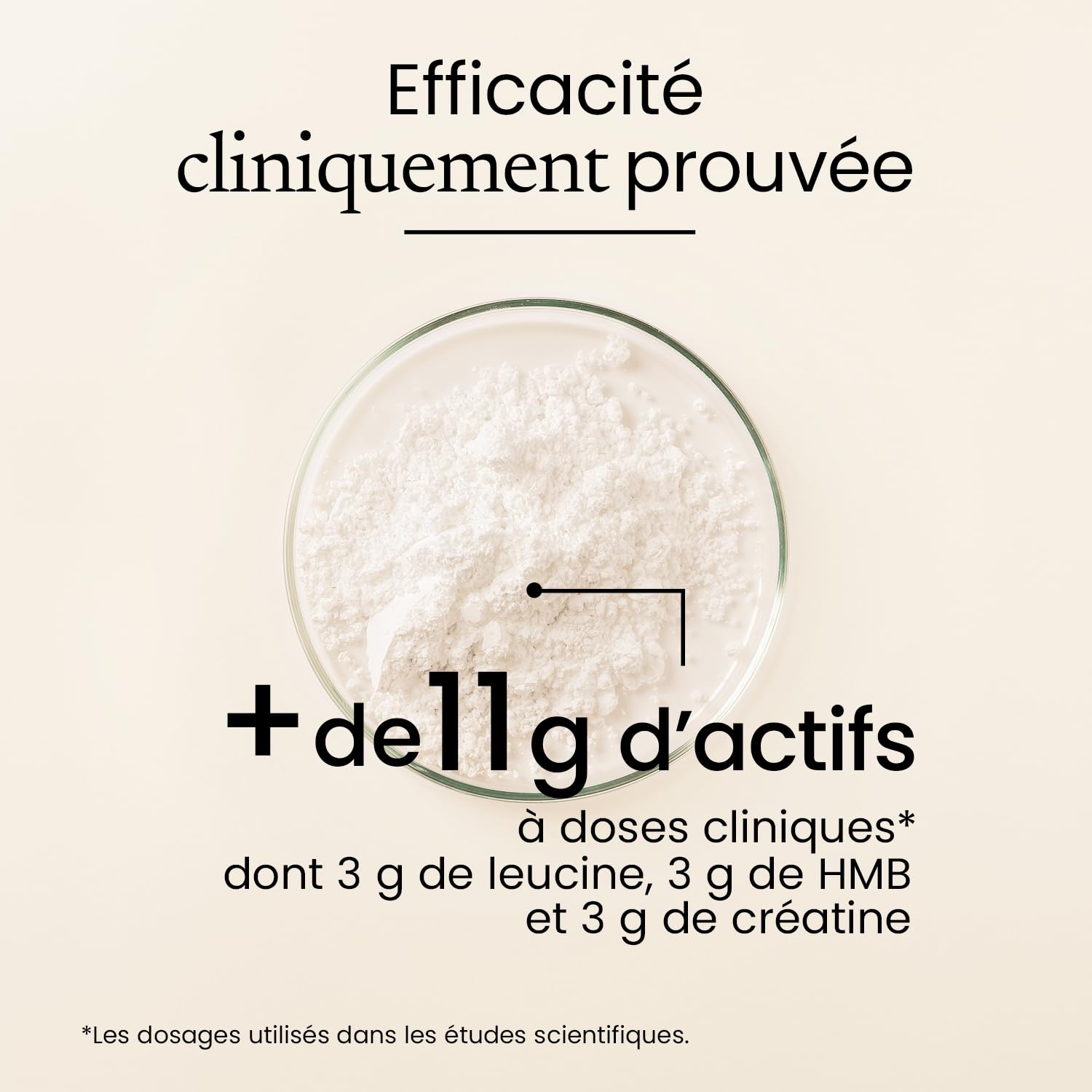 ACTIV’ENERGIE Complexe Créatine | 4 Actifs Brevetés | Force - Tonicité - Énergie | Dosages Cliniques | Efficacité Prouvée + 19,7% de Force Musculaire en 8 semaines | Fabriqué en France | Terravita