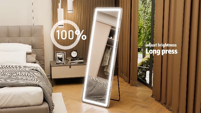 Amazon.com: Sweetcrispy LED Full Length Floor Mirror, 65