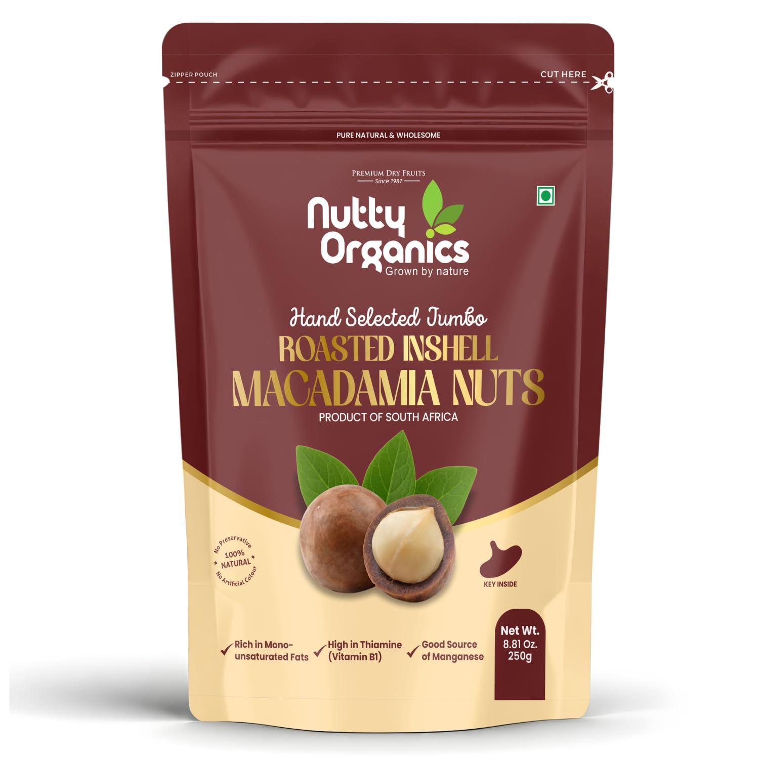 Nutty Organics Hand Selected Jumbo Roasted In-Shell Macadamia Nuts 250g | Premium Dry Fruits | Key Inside for Easy Cracking | Rich in Healthy Fats | 100% Natural-image-35