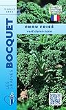 Sachet de graines de Chou frisé vert demi nain (Chou Kale) - 3 g - légume feuille - LES ...