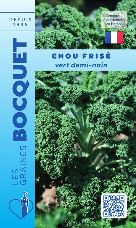 Sachet de graines de Chou frisé vert demi nain (Chou Kale) - 3 g - légume feuille - LES GRAINES BOCQUET