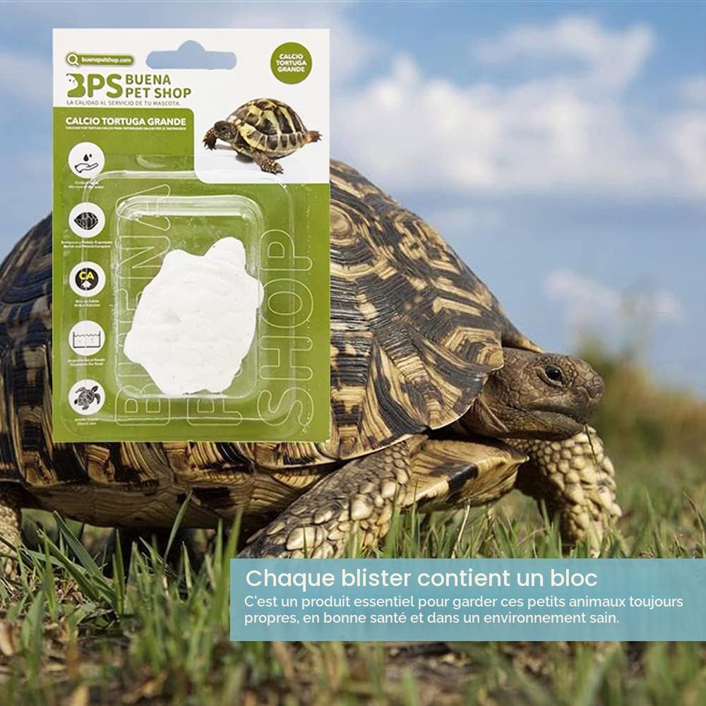 BPS 2 pièces Bloc de Calcium pour Tortues Grand complément de Base Naturel BPS-4133 * 2
