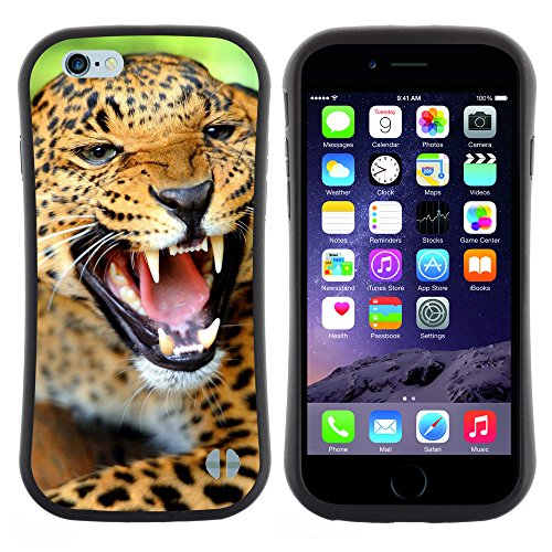 Black-Dwarf (Leopard selvaggio Growl) Defender