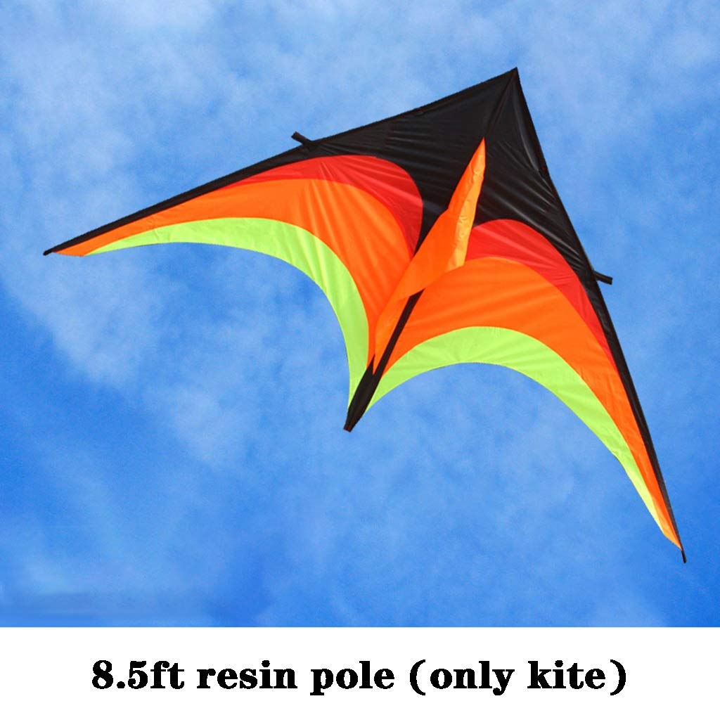 Amazon.com: ZYCSKTL Kites for Adults Giant,Outdoor Large Triangle