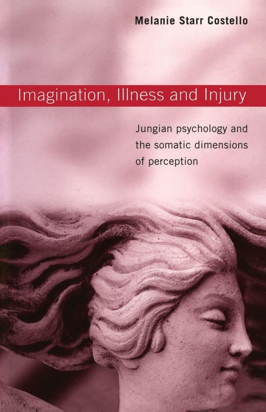Imagination, Illness and Injury : Jungian Psychology and the Somatic Dimensions of Perception