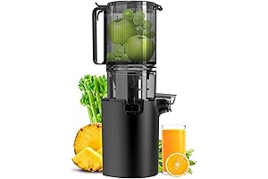 Masticating Juicer Machine: Pure Juicing Bliss for Health-Conscious Individuals