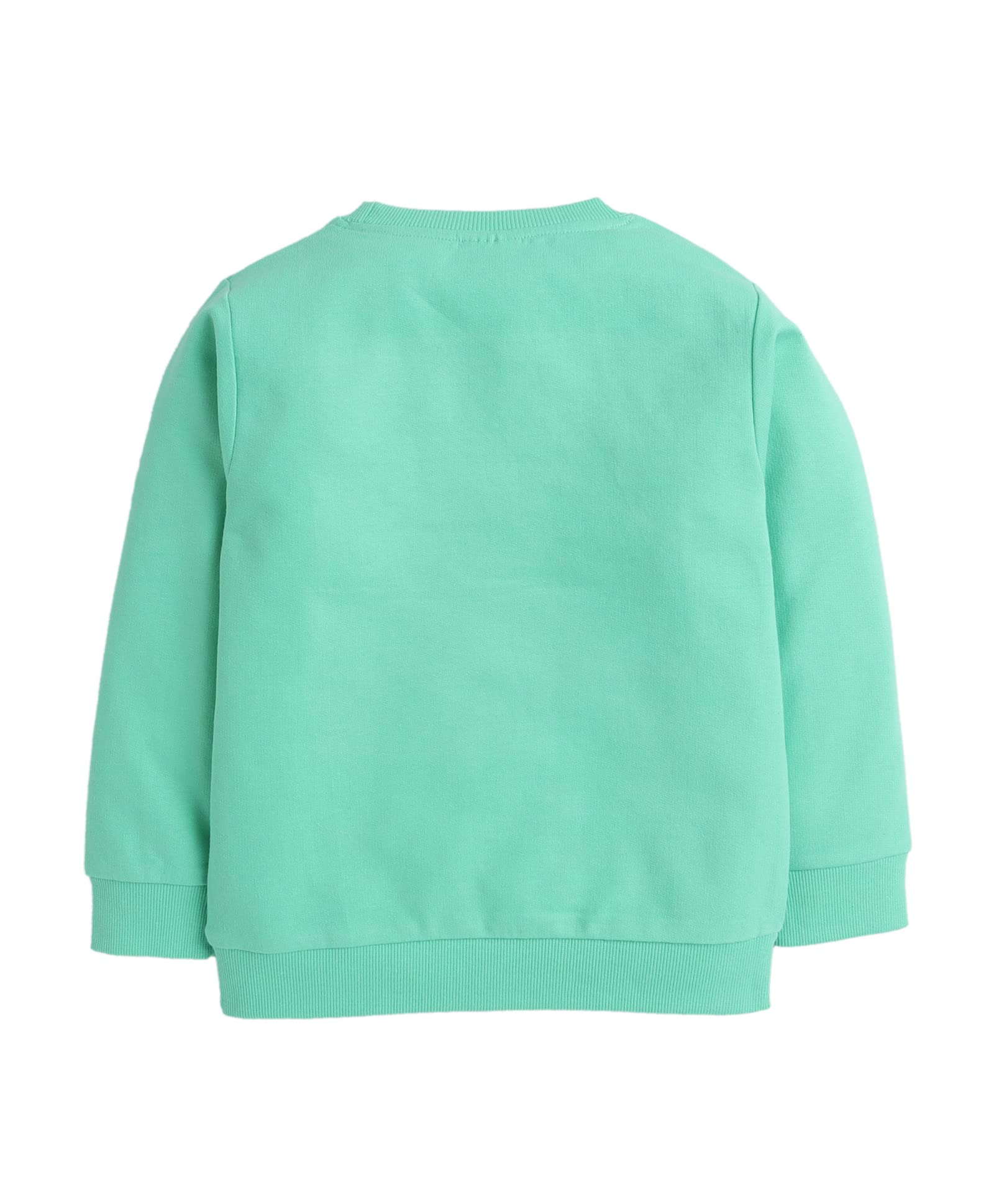 MINITATU Baby Girl's Cotton Crew Neck Regular Fit Sweatshirt (MT-3278E-AN_Turquoise_12 Months-18 Months)
