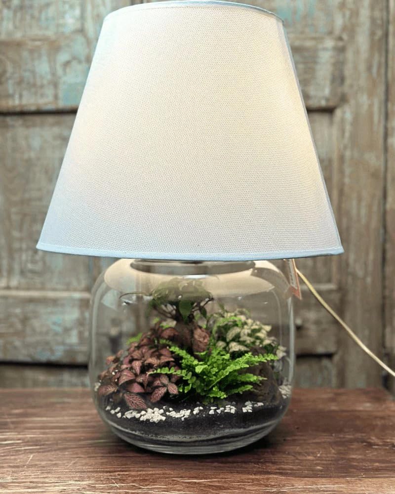 Kit Terrarium Lamparium e Piante Verdi | Vaso in Vetro con Paralume Incluso | Include Substrati, Accessori e Terrario Fai-da-Te