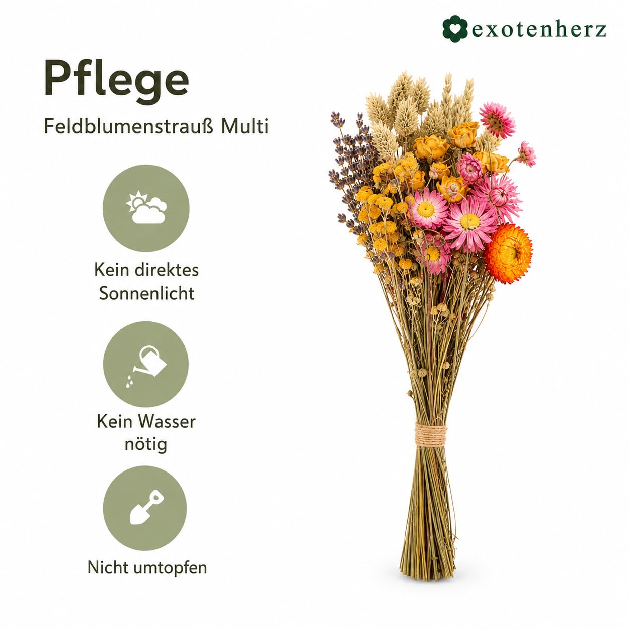 Exotenherz Bouquet de fleurs séchées - Fleurs de champ naturelles - 20 cm