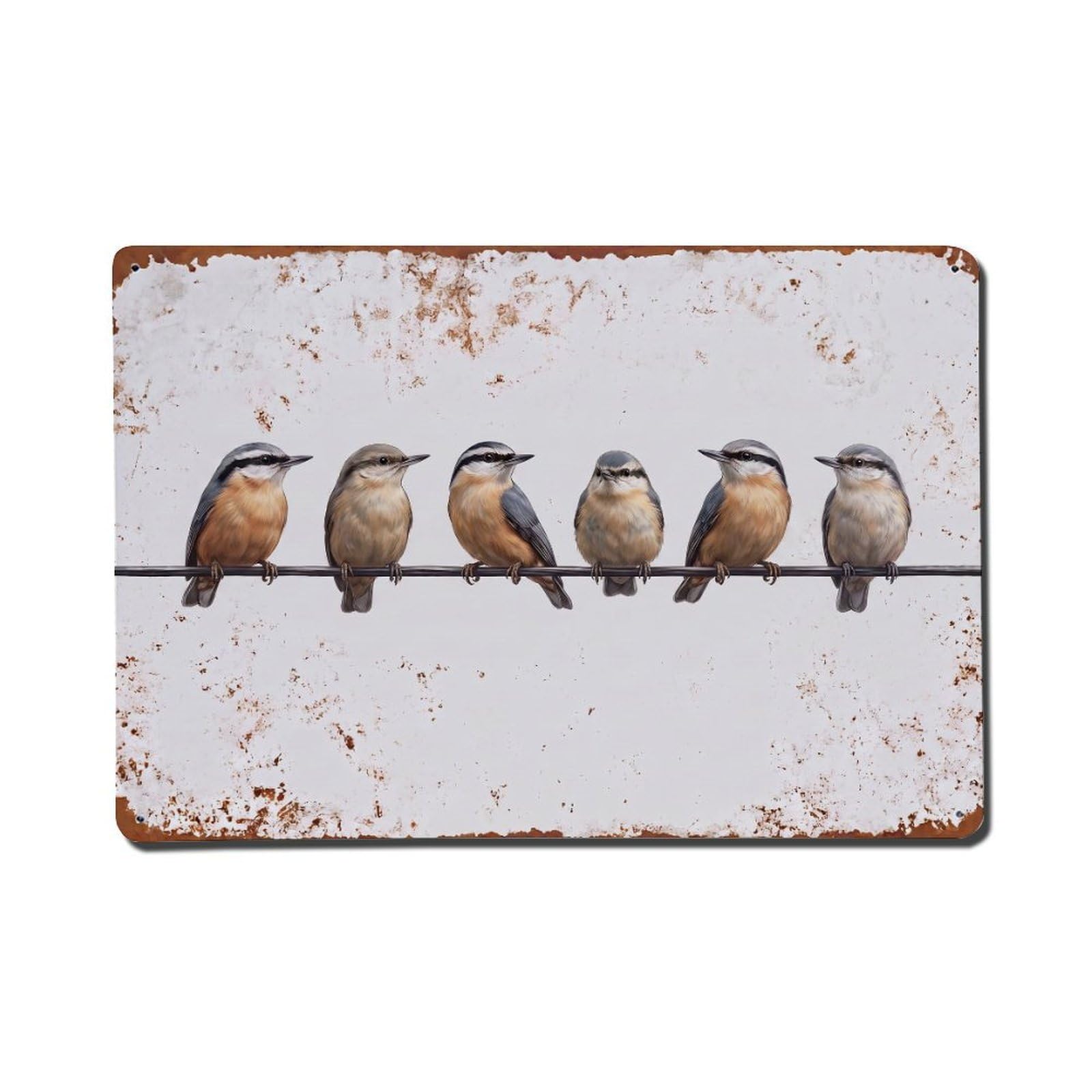 Vintage Retro Birds Eurasian Nuthatch Metal Tin Sign