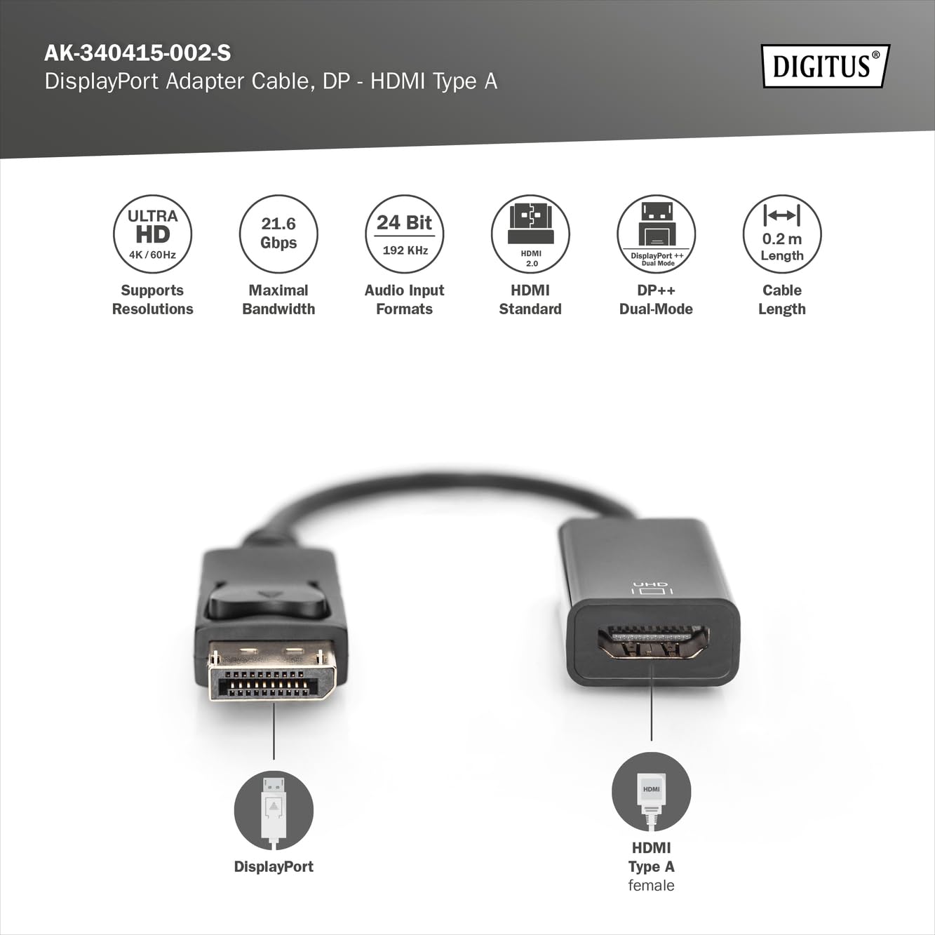 LINDY 38182 HDMI to DisplayPort, DVI & VGA Converter