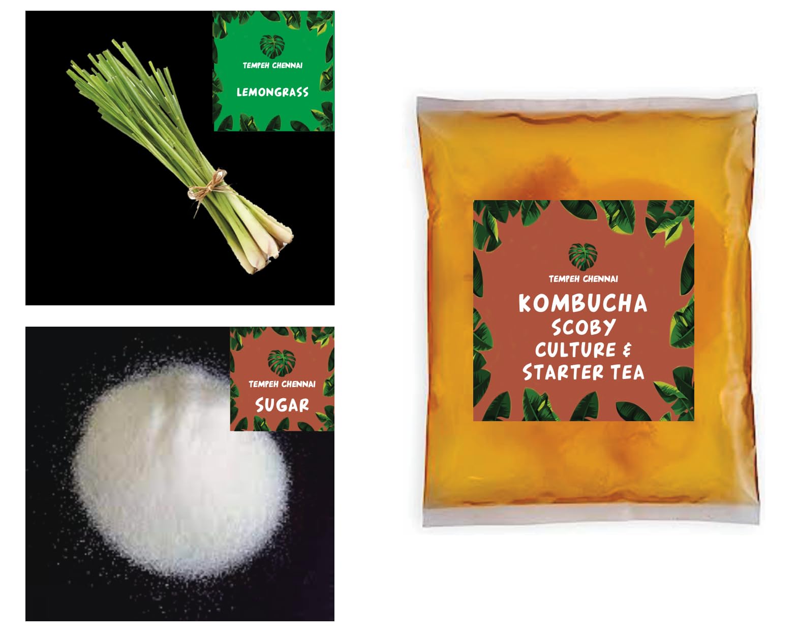 TEMPEHSTATION Lemongrass Kombucha Starter Tea makes up to 10 litre of probiotic/Kit for Beginners| THICK SCOBY culture 100% Natural No Preservative | Keto-Friendly, Low Sugar, Vegan, Gluten-Free