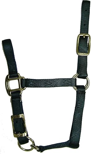 Miniatura 9 de Hamilton Caballo ajustable de calidad 34, poni, verde oscuro