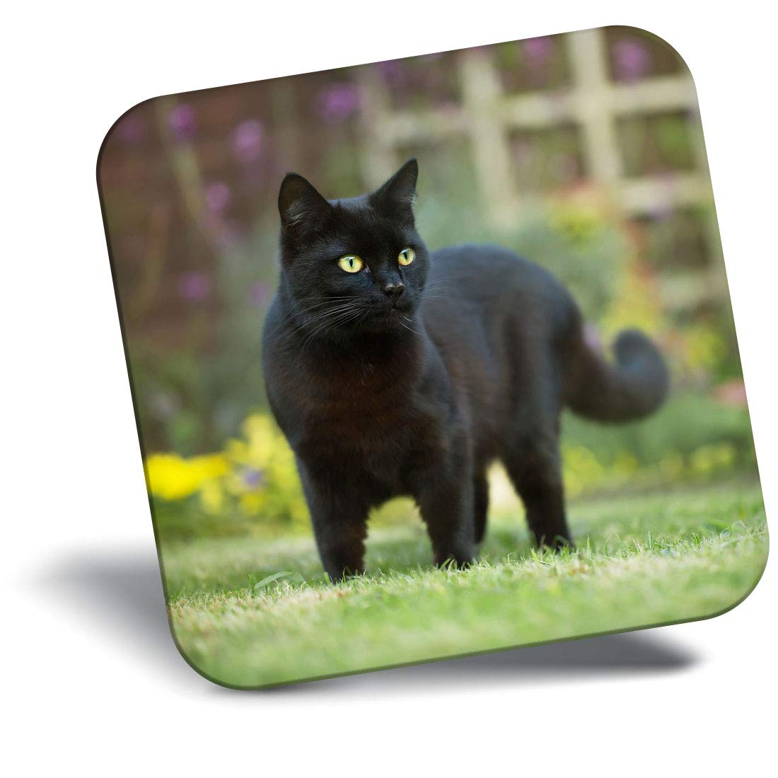 Destination Vinyl Ltd Black Fridge Magnet - Hunting Cat Kitten Pet 2604