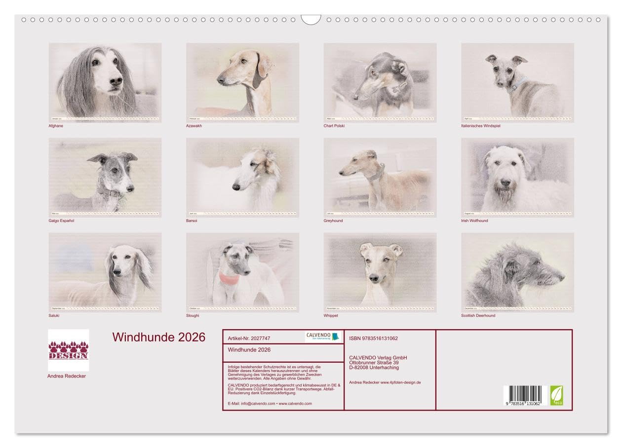 Windhunde 2026 (Wandkalender 2026 DIN A2 quer), CALVENDO Monatskalender: Windhunde - Wunderschön gestalteter Kalender. Jedes Monatsmotiv gleicht einem kleinen Kunstwerk. (CALVENDO Tiere)