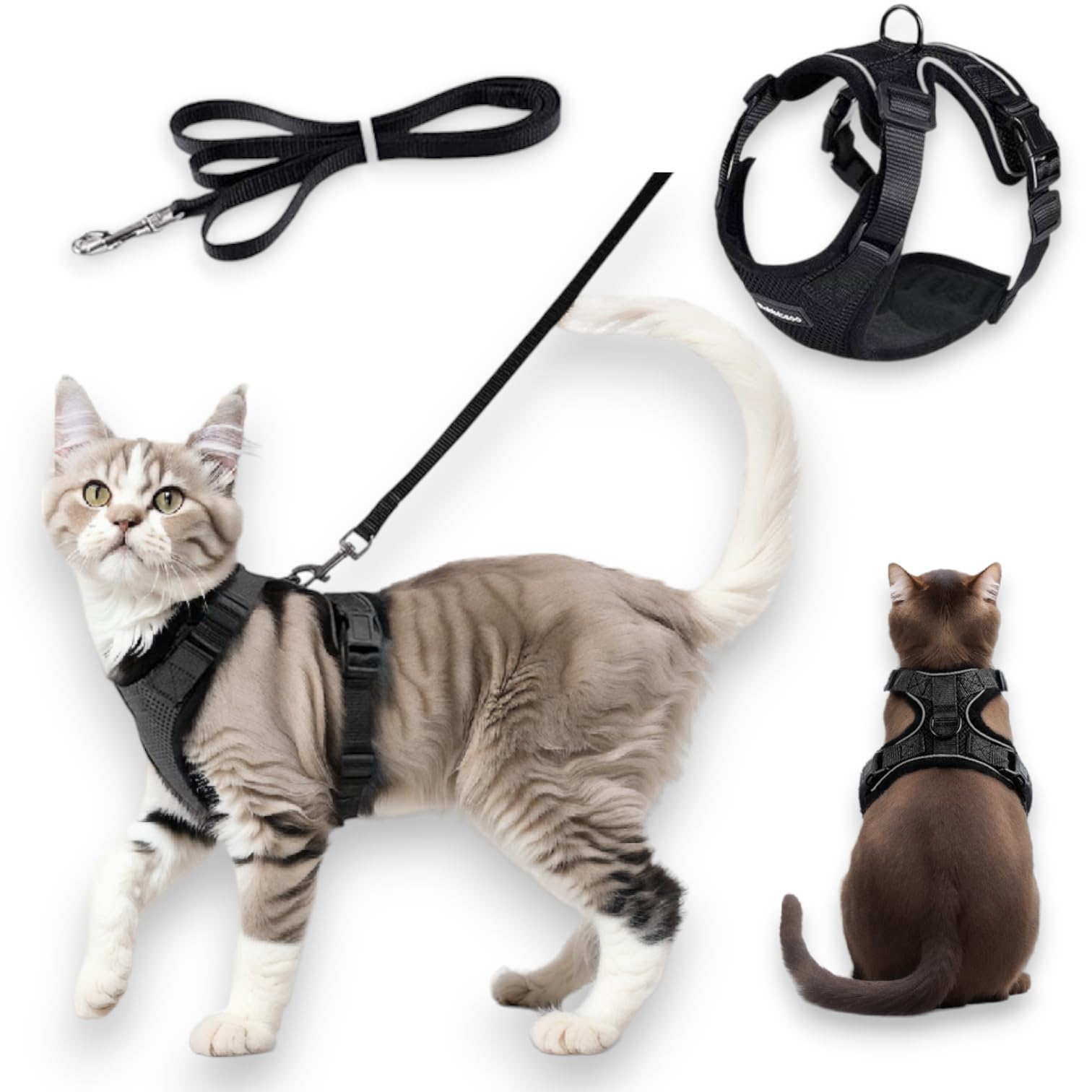 BLOCKBAT 2024 Arnes Gato + Correa Gato 150cm, Ajustable, Cómodo, Reflectante, Fabricado en Malla Transpirable y Suave, Gatos Accesorios, Collar Gato. (XS, Negro)
