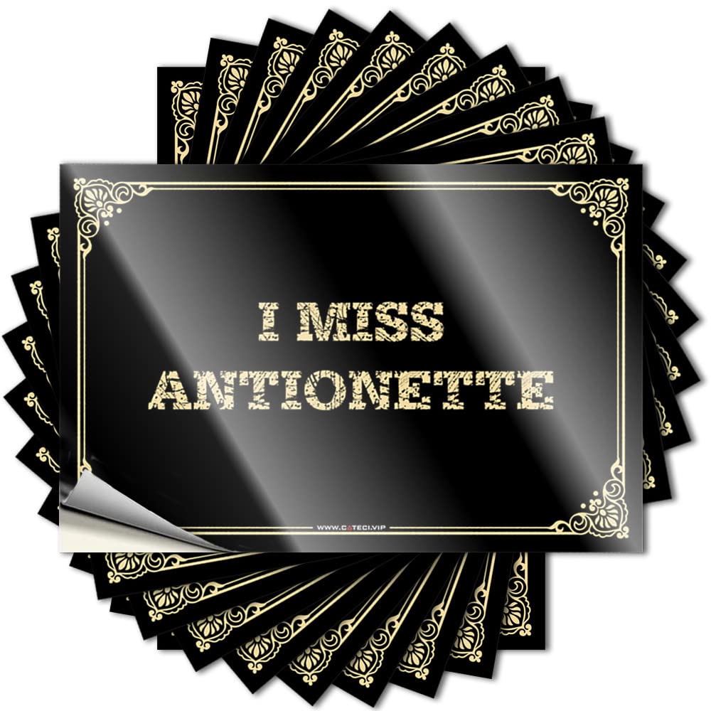 I Miss Antionette Fall Country Room Decor - Funny Sticker Cover Removable Vinyl Decal(6X9CM)