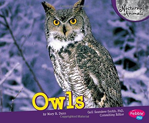 Capstone Press Owls