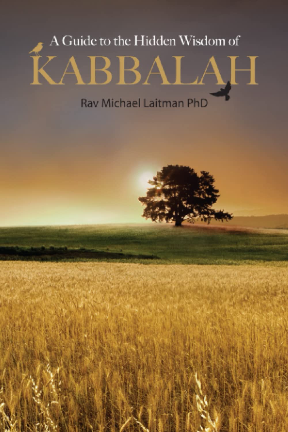 A Guide To Hidden Wisdom Of Kabbalah (Kabbalah Revealed Interactive Part 2)