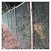 FNUQCOA Heavy Anti Bird Netting Deer Fence Garden Net and Crops Protective Fencing Mesh(3Mx5M,12Strands 3cm Cell)