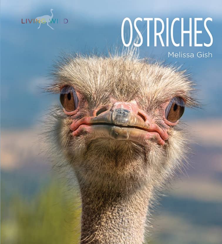 Ostriches (Living Wild) - Image 3