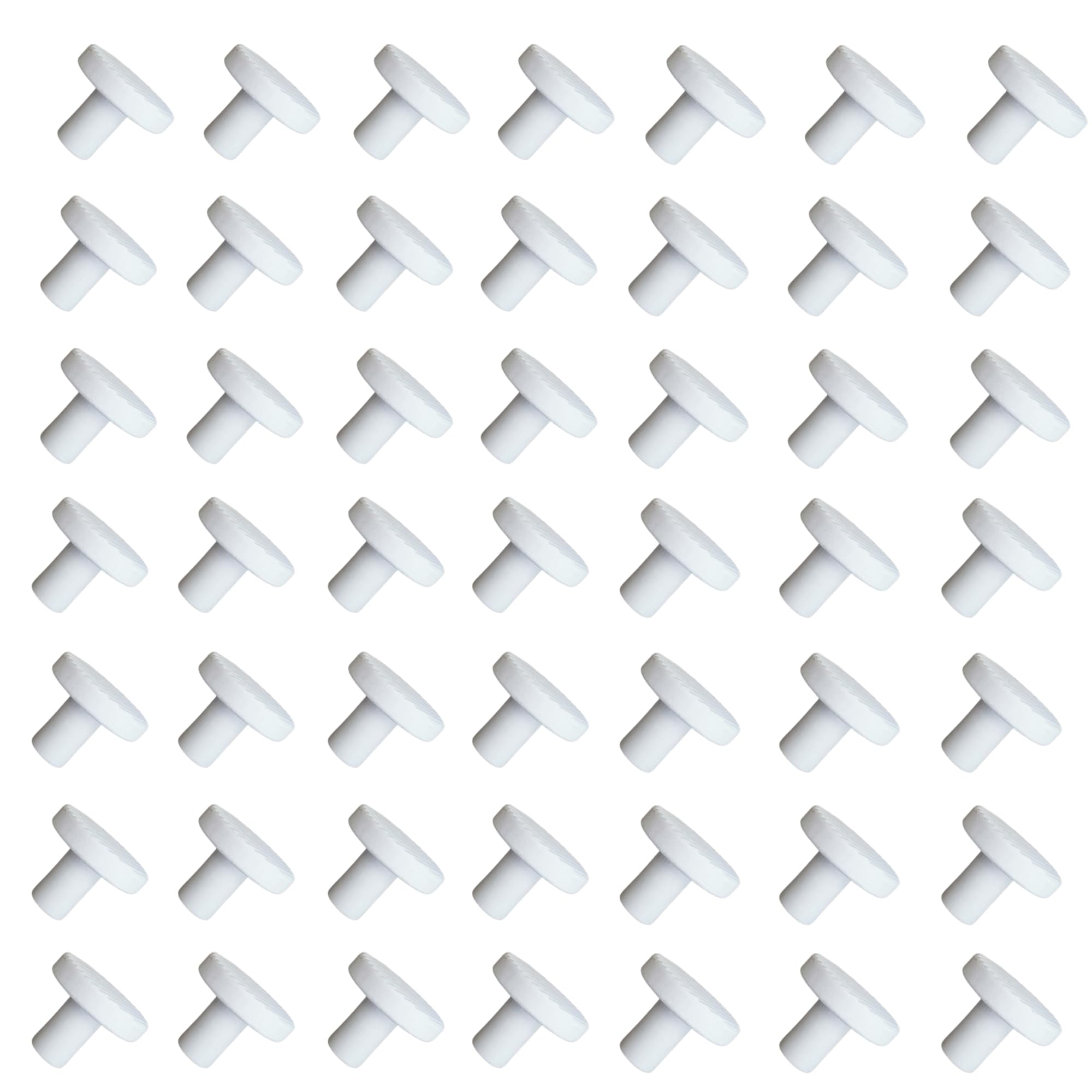 Coral Frag Plugs 60 Pcs