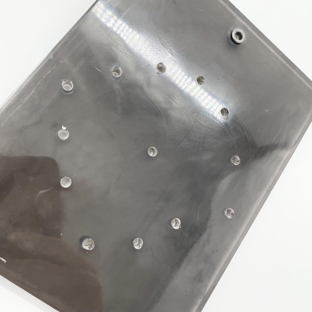 Amazon.co.jp: 着生板 ビカクシダ 観葉植物 壁掛け レジン製