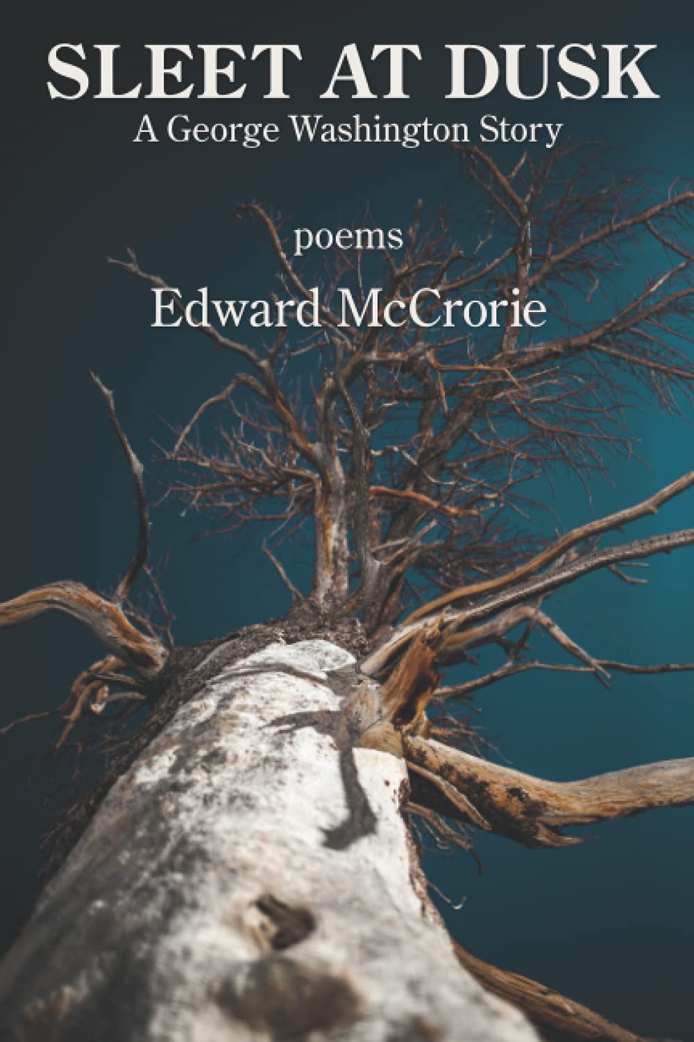 Sleet at Dusk: A George Washington Story