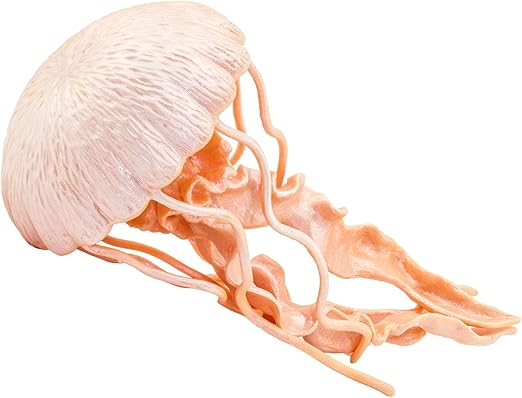 Safari Ltd. Jellyfish Figurine - Detailed 5" Plastic Model Figure - Fun Educational Play Toy for Boys, Girls & Kids Ages 3+