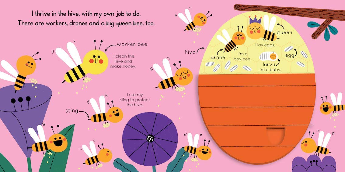 Honeybee