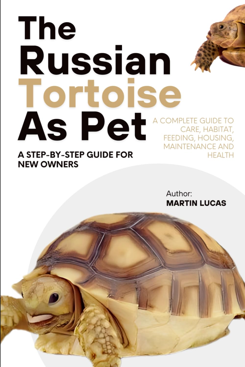 THE RUSSIAN TORTOISE AS PET: A Complete Guide to Care, Habitat, feeding, housing, maintenance and Health