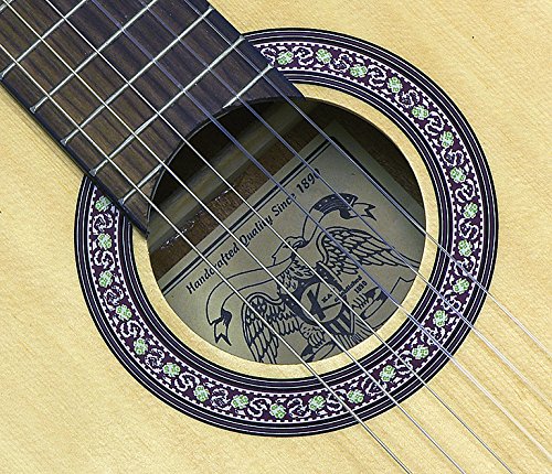 Amazon.co.jp: Kay Classical Cutaway エレアコ - Natural Top