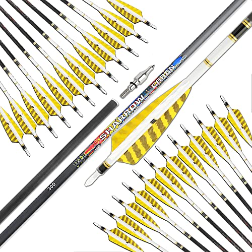 31 inch Pure Carbon Arrows - Archery Targeting Arrows with 4