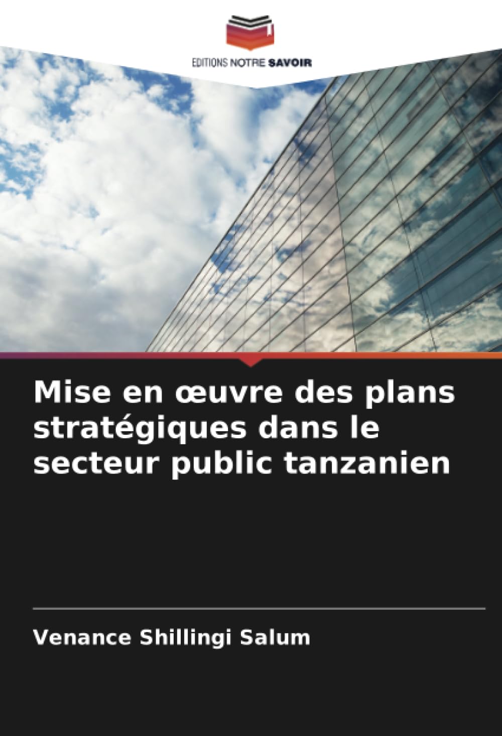 Mise en œuvre des plans stratégiques dans le secteur public tanzanien