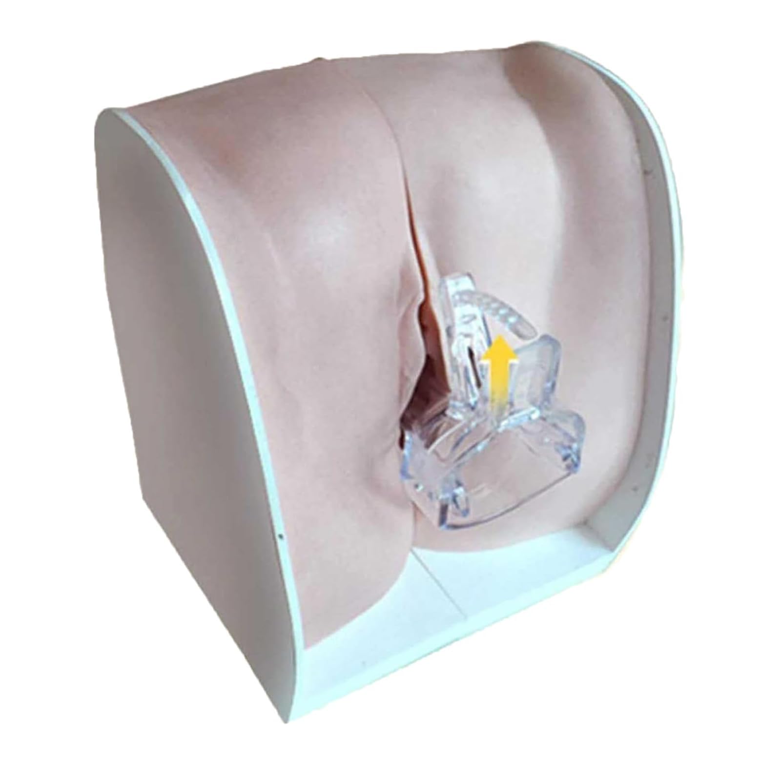 Female Genital Model, Female Gynecological Manikin Model, 1:1 Soft Silicone Vaginal Cervix Uterus Model for Science Classroom Study Display Teaching Medical Model